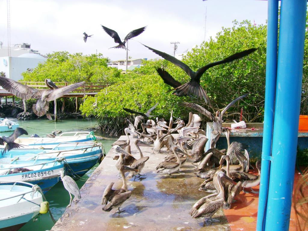 Hotel Pelican Bay Puerto Ayora  Ngoại thất bức ảnh